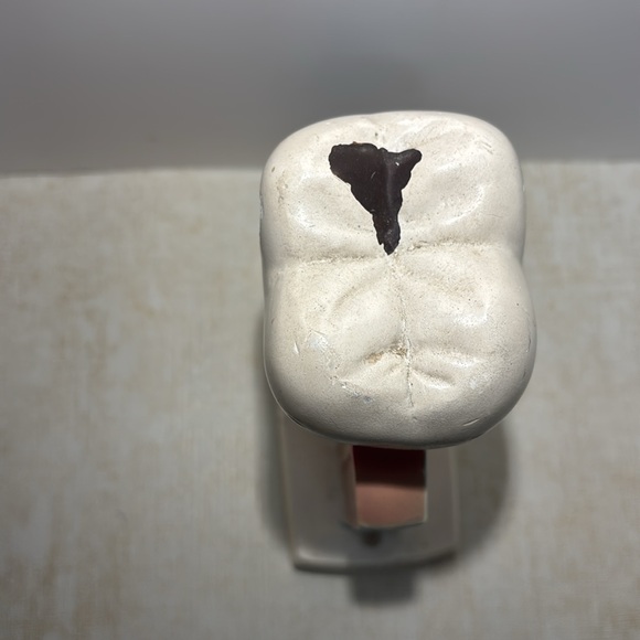 Procter & Gamble Vintage Tooth Model for Gingivitis 1960's (By Crest) - Picture 5 of 8